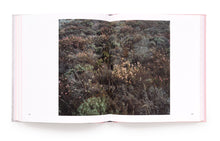 Load image into Gallery viewer, Kelli Connell: Pictures for Charis