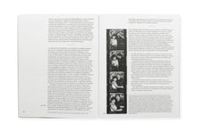 Load image into Gallery viewer, Graciela Iturbide: White Fence