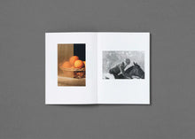 Load image into Gallery viewer, Hudson Hayden: Notwithstanding