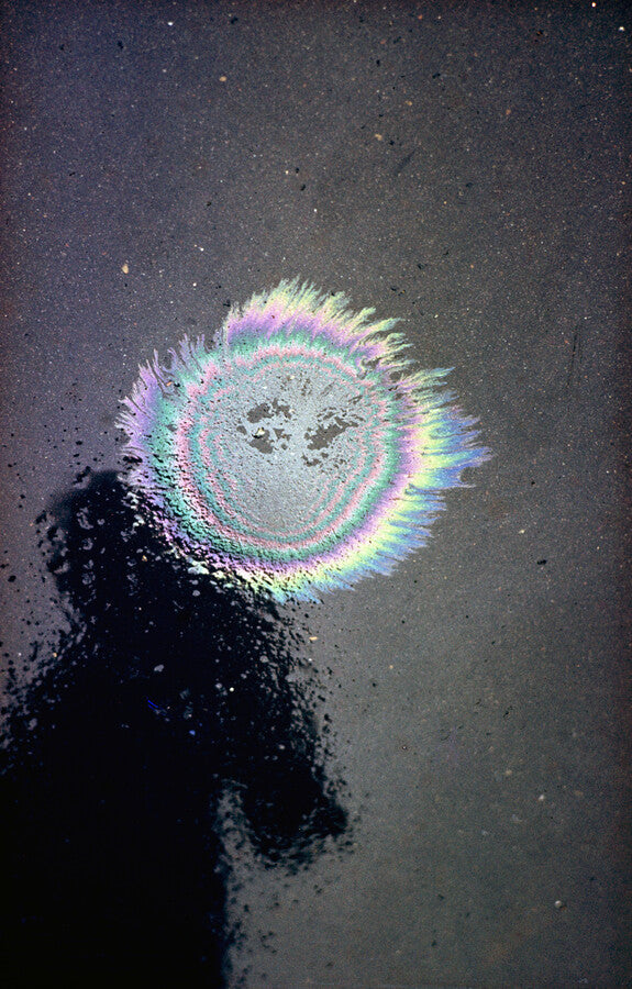 アート・デザイン・音楽 ERNST HAAS COLOR PHOTOGRAPHY Ernst Haas: Color Photography | MoMA