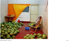 Load image into Gallery viewer, Greg Girard: Photographs 1971-2026