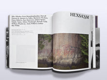 Load image into Gallery viewer, Beginning With the Seventies