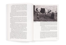 Load image into Gallery viewer, Josef Koudelka: Next
