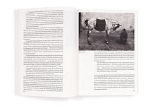 Load image into Gallery viewer, Josef Koudelka: Next