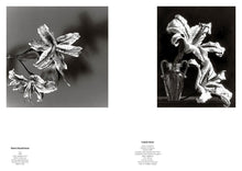 Load image into Gallery viewer, Mapplethorpe/von Gloeden: Beauty and Desire