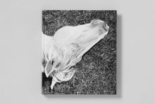 Load image into Gallery viewer, Mimi Plumb - Megalith Still