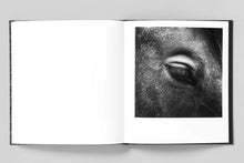 Load image into Gallery viewer, Mimi Plumb - Megalith Still