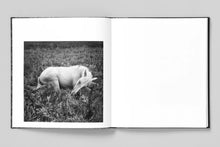 Load image into Gallery viewer, Mimi Plumb - Megalith Still