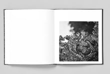 Load image into Gallery viewer, Mimi Plumb - Megalith Still