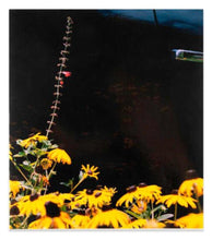 Load image into Gallery viewer, Vasantha Yogananthan: Mystery Street