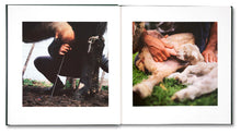 Load image into Gallery viewer, Alessandra Sanguinetti: On The Sixth Day