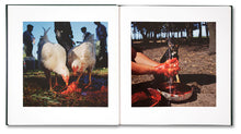 Load image into Gallery viewer, Alessandra Sanguinetti: On The Sixth Day