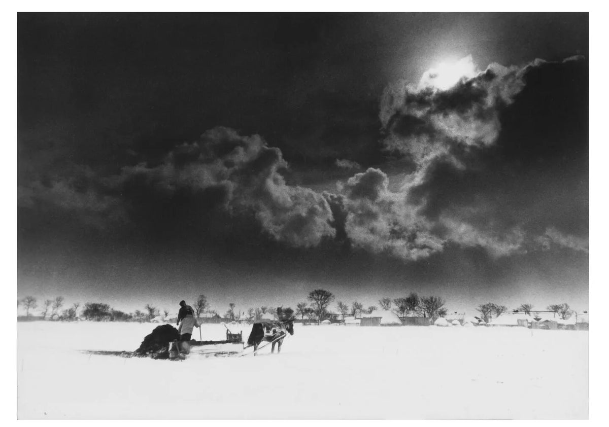 Ichiro Kojima: Solitude Standing – The Polygon Gallery