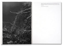 Load image into Gallery viewer, Raymond Meeks - The Inhabitants