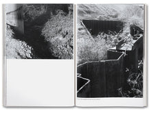 Load image into Gallery viewer, Raymond Meeks - The Inhabitants