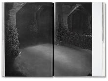 Load image into Gallery viewer, Raymond Meeks - The Inhabitants