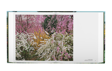 Load image into Gallery viewer, The Photographer in the Garden