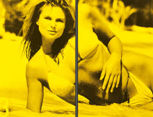 Load image into Gallery viewer, Vicky Alexander: Extreme Beauty