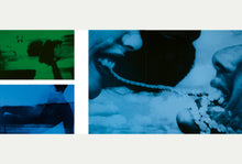 Load image into Gallery viewer, Vicky Alexander: Extreme Beauty