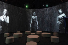 Load image into Gallery viewer, Carrie Mae Weems: The Shape of Things