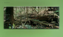 Load image into Gallery viewer, Karin Bubas: Garden of Shadows