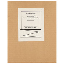 Load image into Gallery viewer, Active Process: Artists' Books Photographic and Contemporary