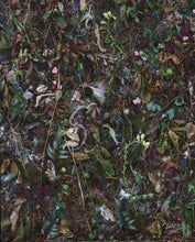Load image into Gallery viewer, Tanya Marcuse - fruitless fallen woven