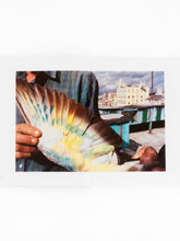 Load image into Gallery viewer, Alex Webb and Rebecca Norris Webb - Violet Isle