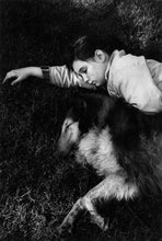 Load image into Gallery viewer, To The Dogs