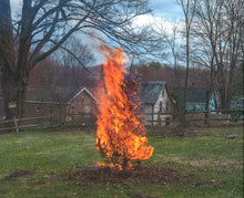 Load image into Gallery viewer, Justin Kimball - Who By Fire