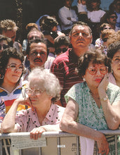 Load image into Gallery viewer, Janet Delaney - Public Matters