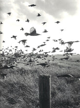 Load image into Gallery viewer, Stephen Gill - The Pillar