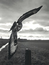 Load image into Gallery viewer, Stephen Gill - The Pillar