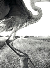 Load image into Gallery viewer, Stephen Gill - The Pillar