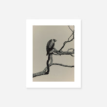 Load image into Gallery viewer, Yamamoto Masao: Birds
