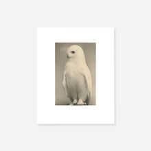 Load image into Gallery viewer, Yamamoto Masao: Birds