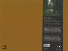 Load image into Gallery viewer, Gregory Crewdson - Alone Street