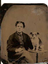 Load image into Gallery viewer, To The Dogs