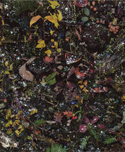 Load image into Gallery viewer, Tanya Marcuse - fruitless fallen woven