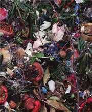 Load image into Gallery viewer, Tanya Marcuse - fruitless fallen woven