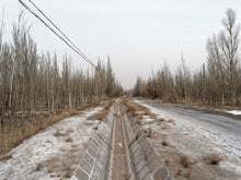 Load image into Gallery viewer, Li Yang / 404 Not Found