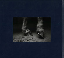 Load image into Gallery viewer, Alessandra Sanguinetti - Some Say Ice