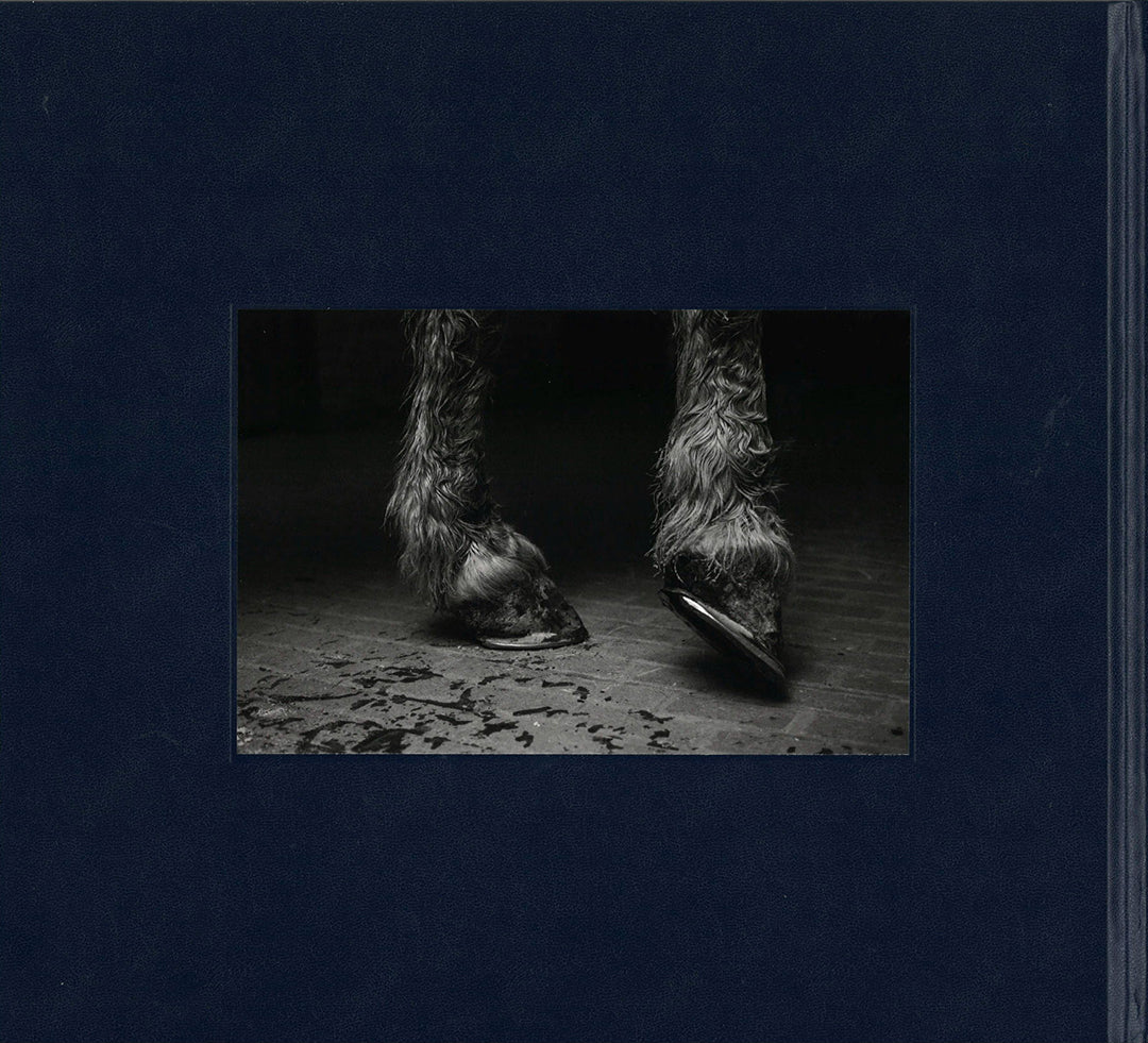 SOME SAY ICE　Alessandra Sanguinetti Some Say Ice | Magnum Photos
