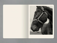 Load image into Gallery viewer, Vanessa Winship - Snow