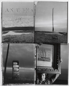 Life Dances On - Robert Frank in Dialogue