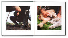 Load image into Gallery viewer, Alessandra Sanguinetti: On The Sixth Day
