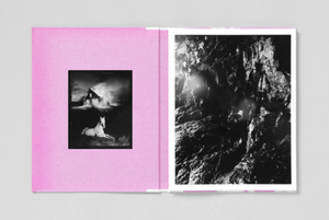Pia-Paulina Guilmoth: Flowers Drink the River