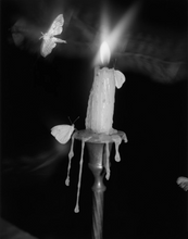 Load image into Gallery viewer, Pia-Paulina Guilmoth: Flowers Drink the River
