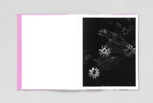 Load image into Gallery viewer, Pia-Paulina Guilmoth: Flowers Drink the River
