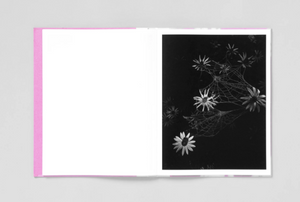 Pia-Paulina Guilmoth: Flowers Drink the River